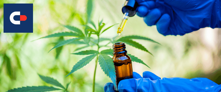 Decoding CBD Oil Brands: Your Ultimate Guide to Making the Right Choice